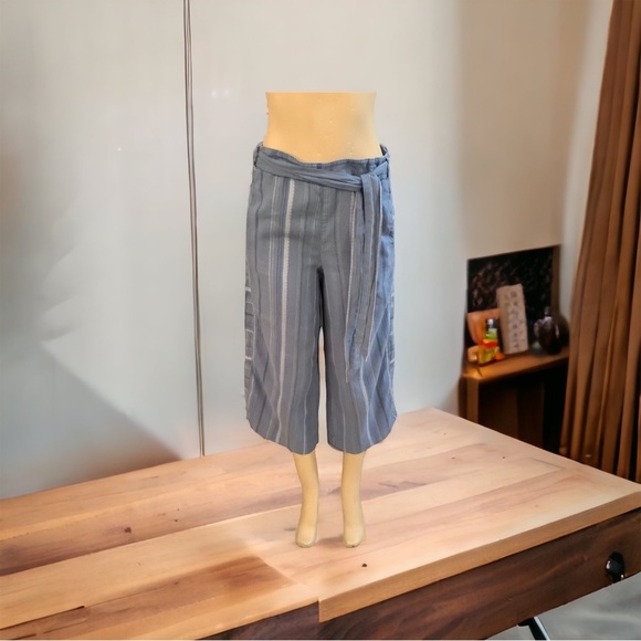 Anthropologie Blue Striped Capris - Picture 7 of 7
